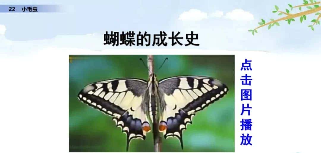 二年级下册语文课文22《小毛虫》图文详解及同步练习