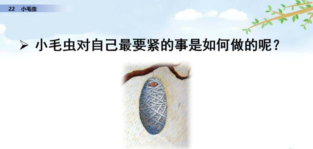 二年级下册语文课文22《小毛虫》图文详解及同步练习