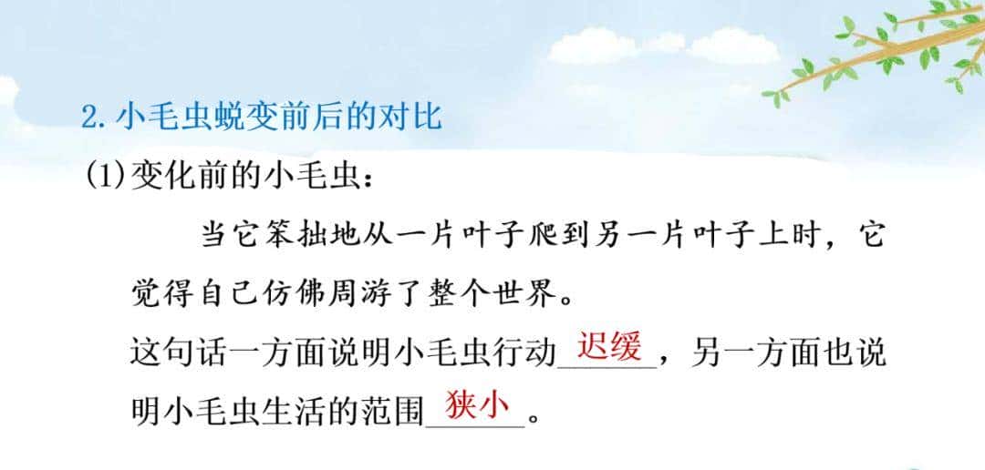 二年级下册语文课文22《小毛虫》图文详解及同步练习