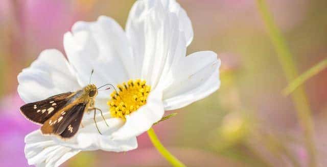 婚内出轨最正确的处理方法是什么!看完直呼:受益匪浅。