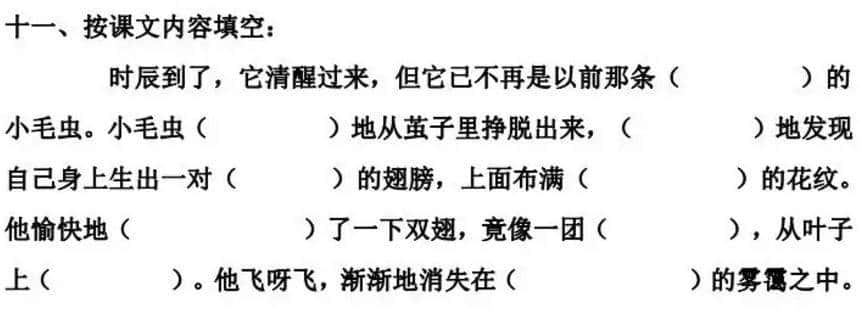 二年级下册语文课文22《小毛虫》图文详解及同步练习