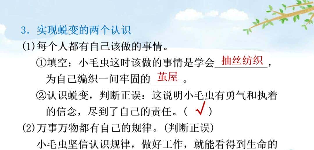 二年级下册语文课文22《小毛虫》图文详解及同步练习