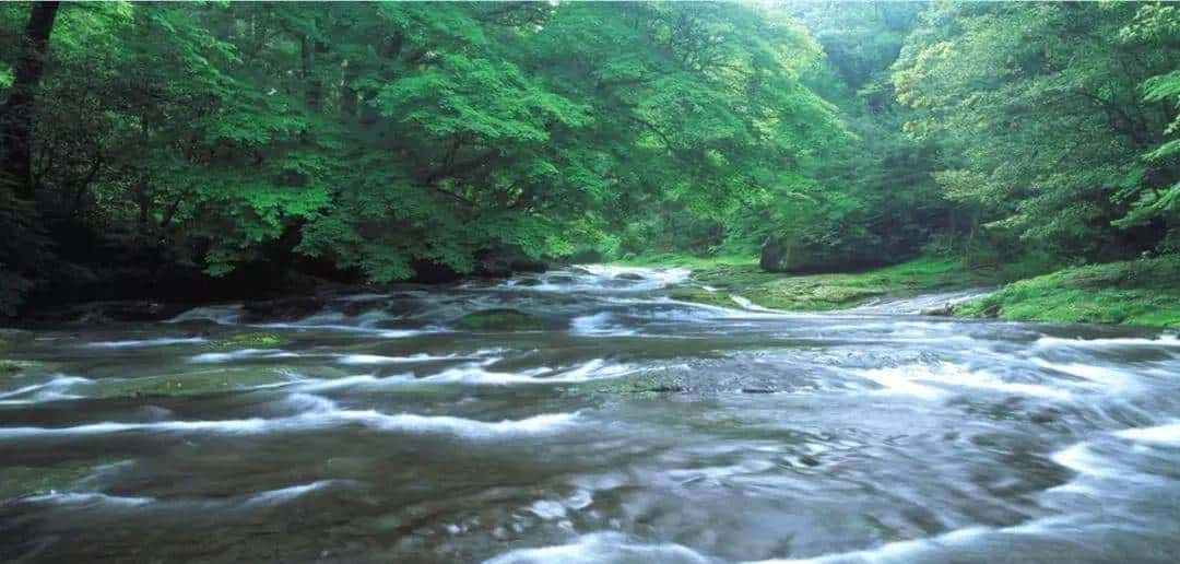 四年级下册语文第17课《记金华的双龙洞》图文详解及同步练习