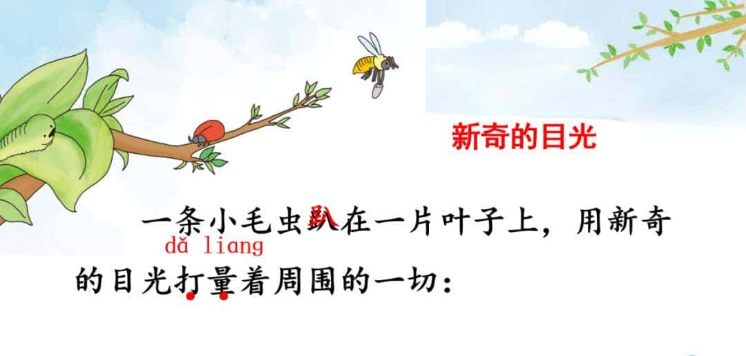 二年级下册语文课文22《小毛虫》图文详解及同步练习