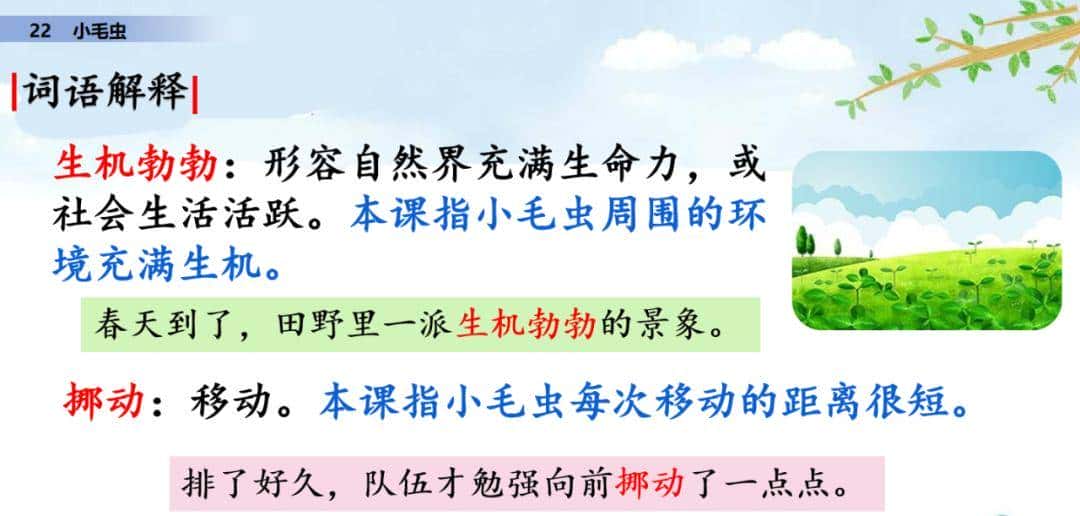 二年级下册语文课文22《小毛虫》图文详解及同步练习