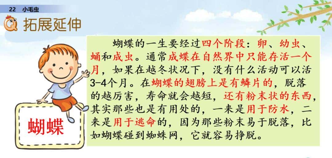 二年级下册语文课文22《小毛虫》图文详解及同步练习