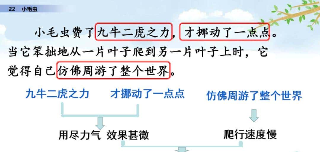 二年级下册语文课文22《小毛虫》图文详解及同步练习