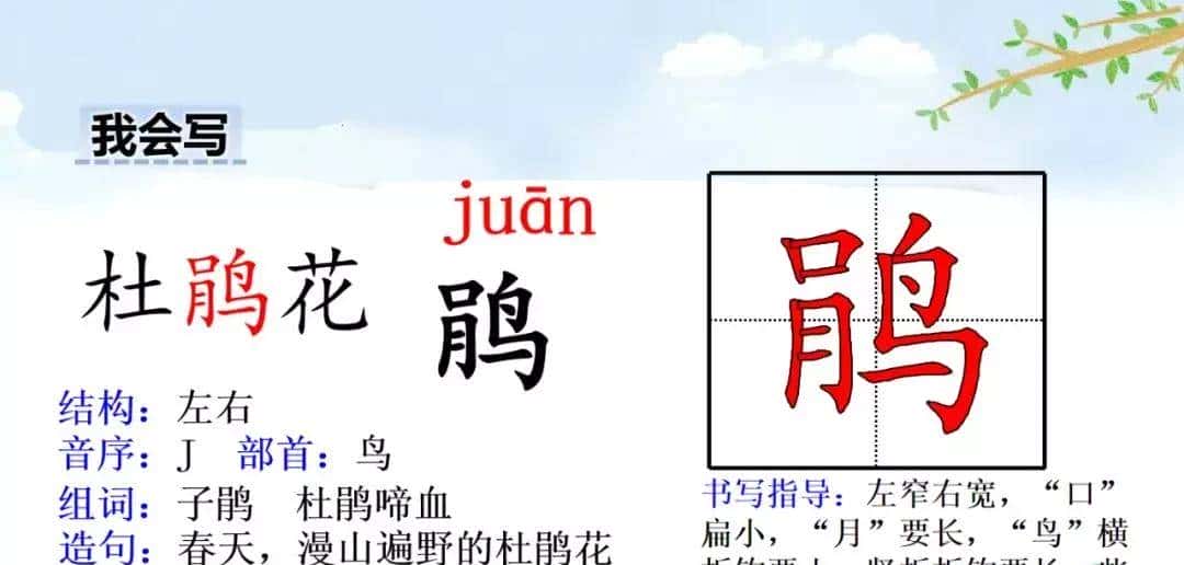 四年级下册语文第17课《记金华的双龙洞》图文详解及同步练习