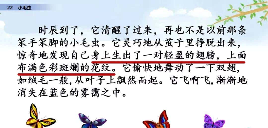 二年级下册语文课文22《小毛虫》图文详解及同步练习