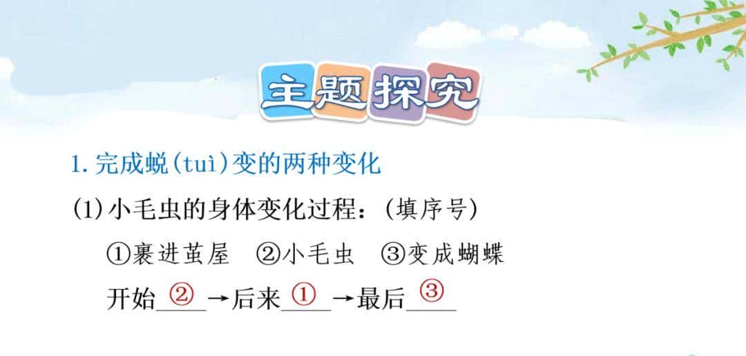 二年级下册语文课文22《小毛虫》图文详解及同步练习