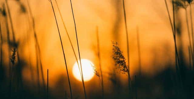 “一辈子都写不出的神仙句子,我帮你整理了28句,喜爱自取”