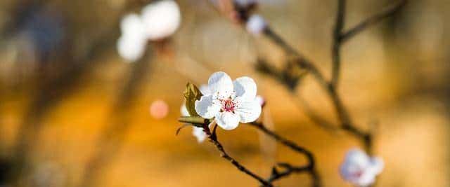 “一辈子都写不出的神仙句子,我帮你整理了28句,喜爱自取”