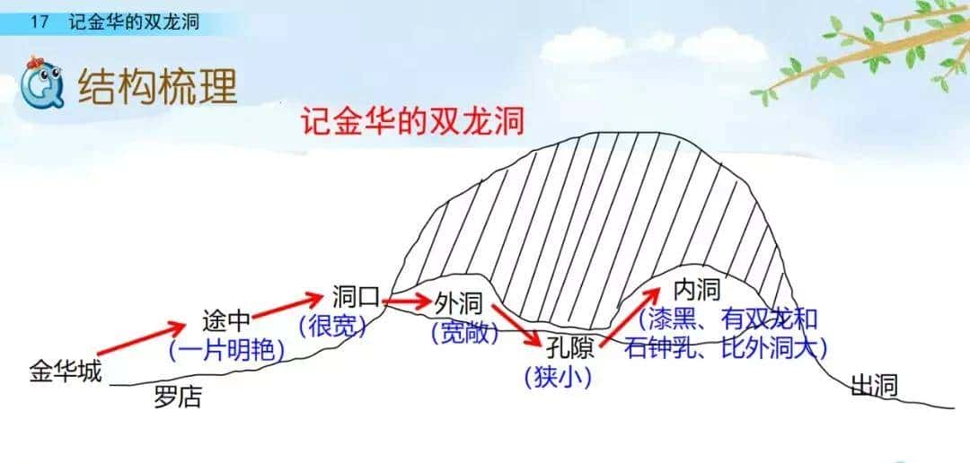 四年级下册语文第17课《记金华的双龙洞》图文详解及同步练习