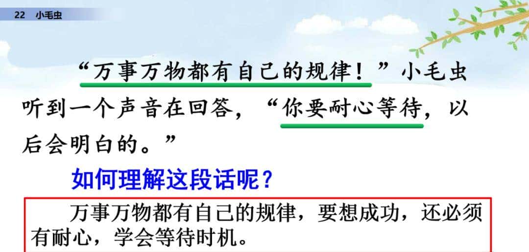 二年级下册语文课文22《小毛虫》图文详解及同步练习