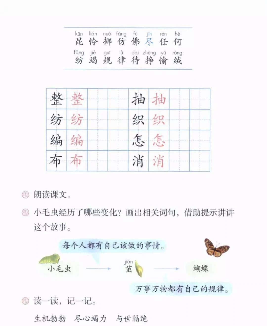 二年级下册语文课文22《小毛虫》图文详解及同步练习