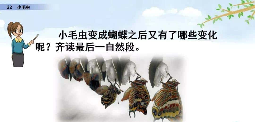 二年级下册语文课文22《小毛虫》图文详解及同步练习