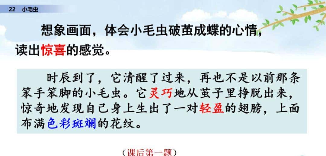 二年级下册语文课文22《小毛虫》图文详解及同步练习