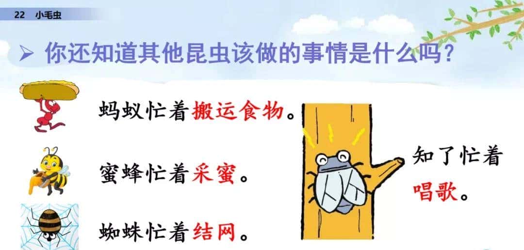 二年级下册语文课文22《小毛虫》图文详解及同步练习