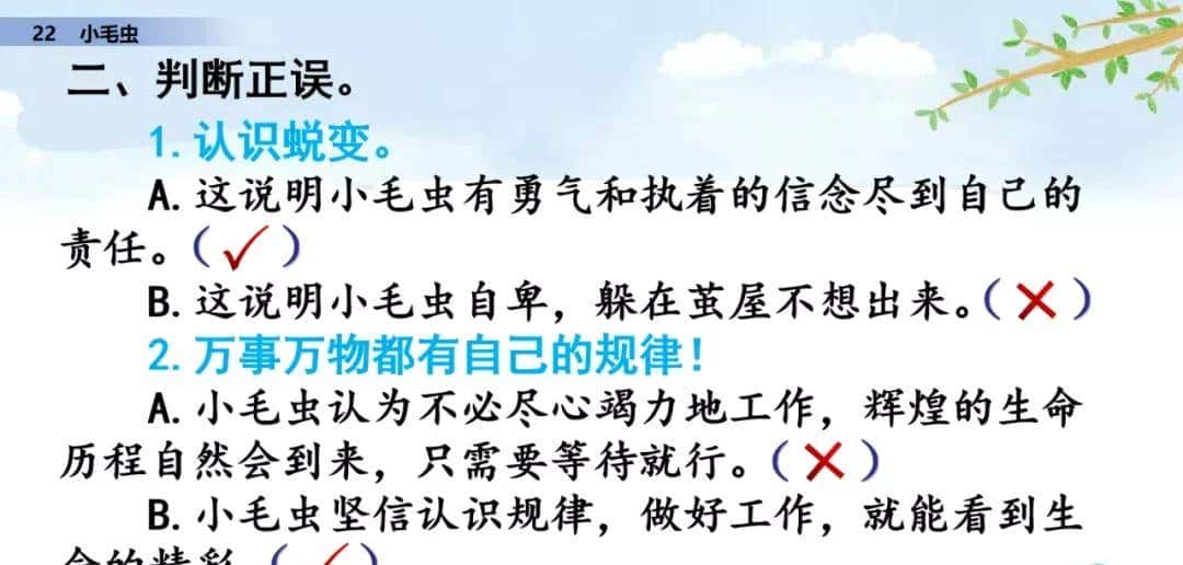 二年级下册语文课文22《小毛虫》图文详解及同步练习