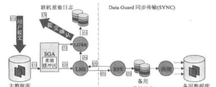 Oracle DG传输方式