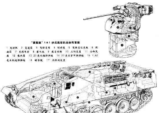 棕灶鸟的守护者—阿根廷中型坦克