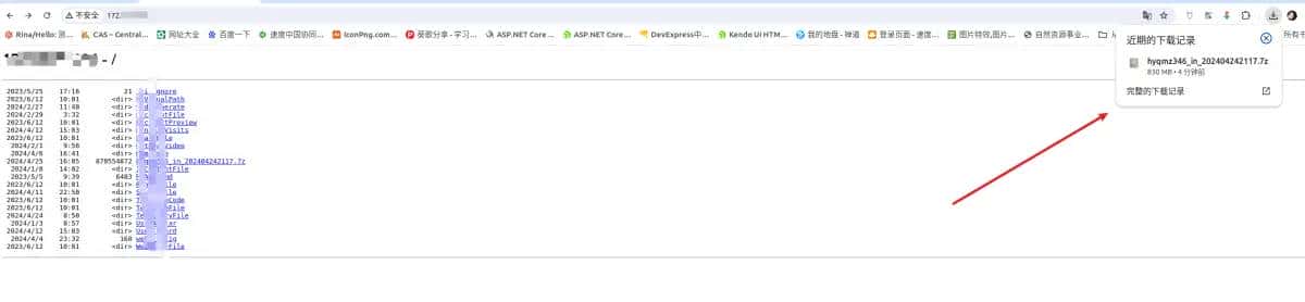 IIS WebDav 部署页面无法下载 .7z 文件
