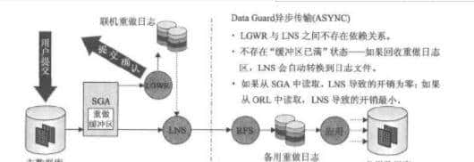 Oracle DG传输方式