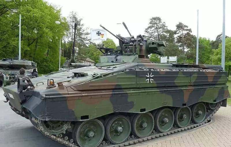 棕灶鸟的守护者—阿根廷中型坦克