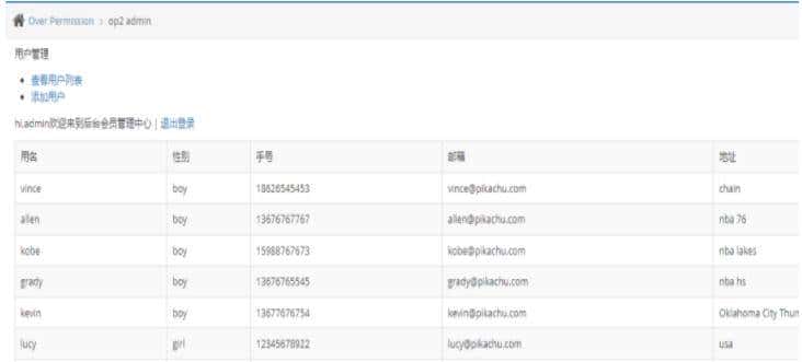 API接口安全性测试及优化方案