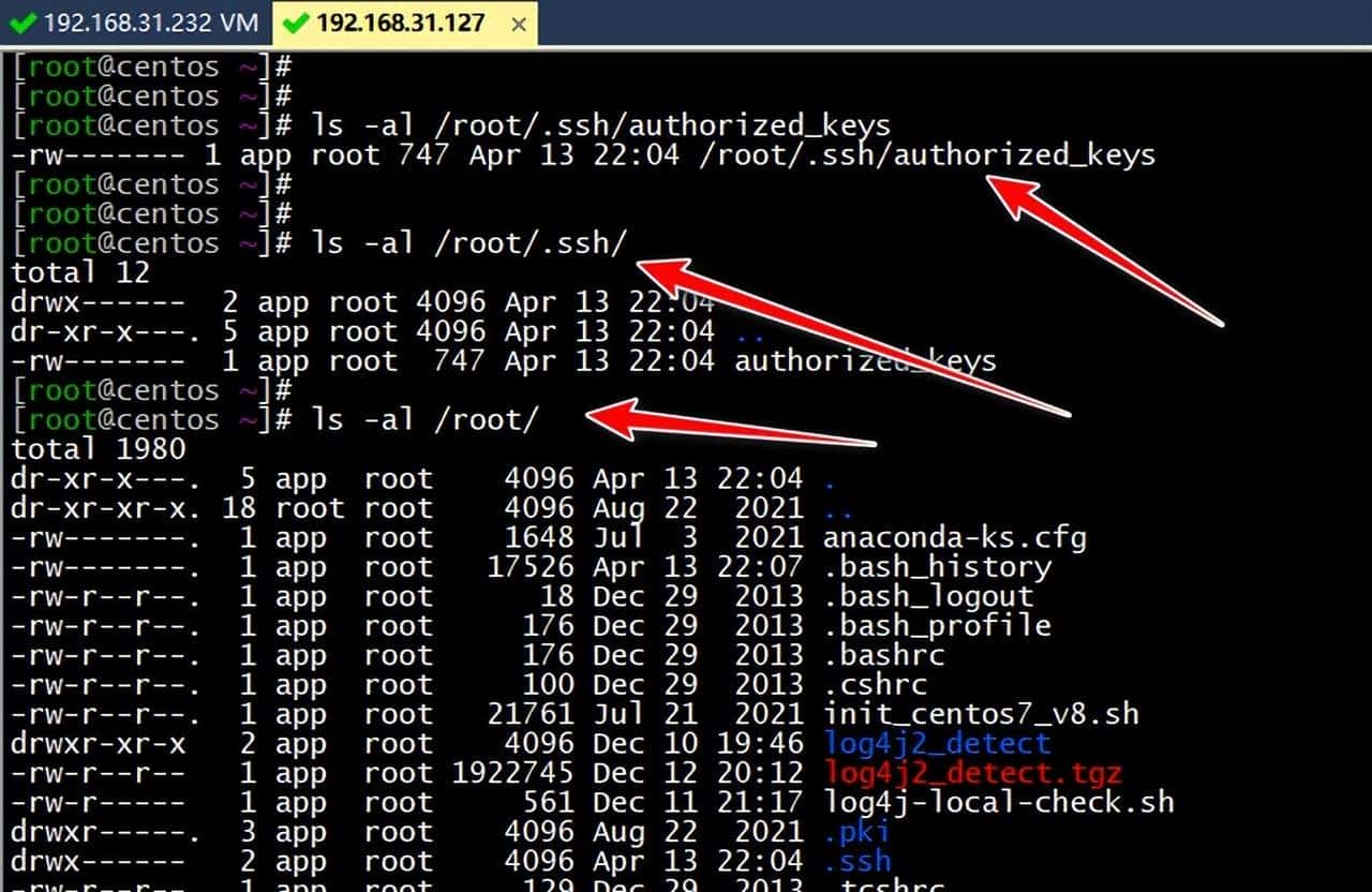 SSH免密码登陆时出现bad ownership or modes for file报错的解决过程