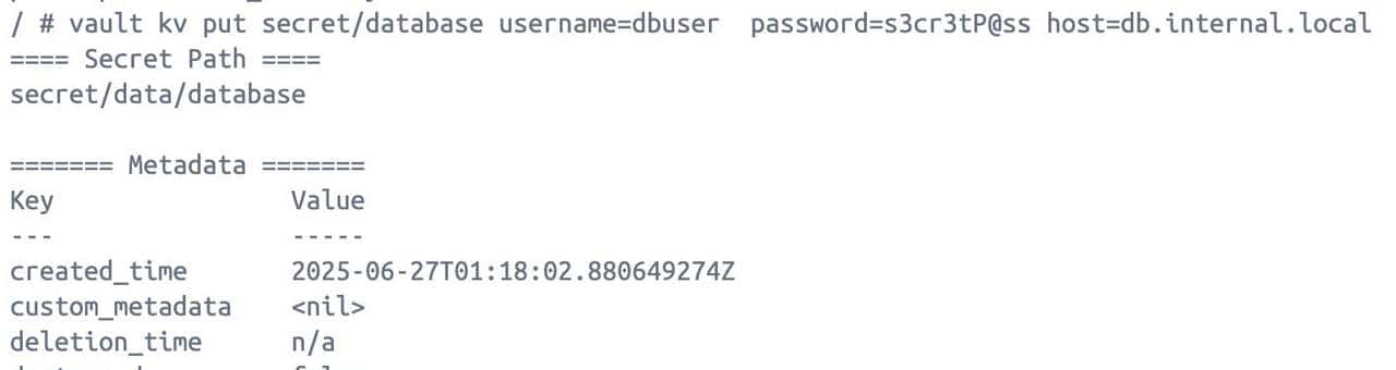 密钥都放.env里？别闹了，用Vault托管配置，自动加密管理！
