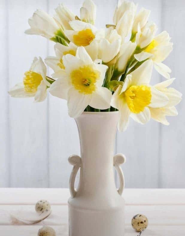 开关电源～准谐振反激式