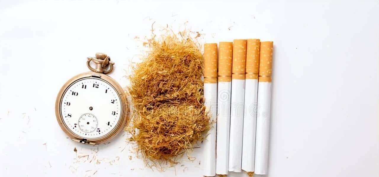 心中有数，找烟不慌——我国主要产烟区全攻略