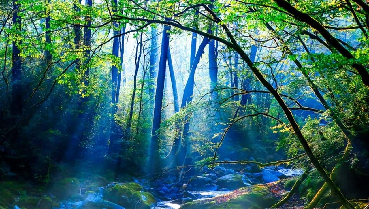 推介词范文赏析 | 10余处引经据典，50余处绝妙比喻，12处精妙拆字