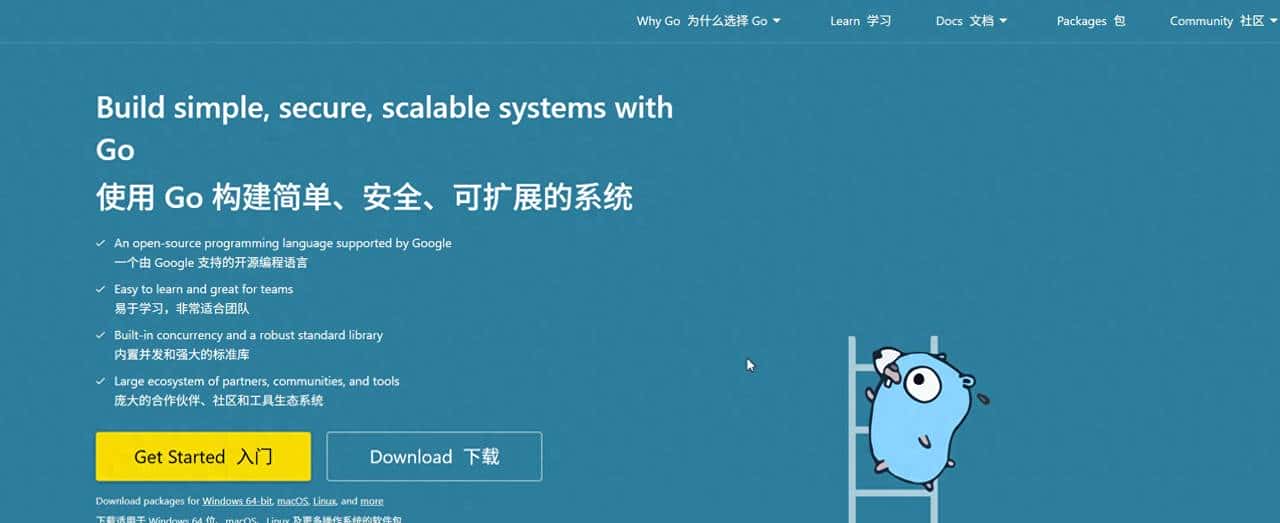 Go 语言 30 天征服者计划:从入门到并发编程实战