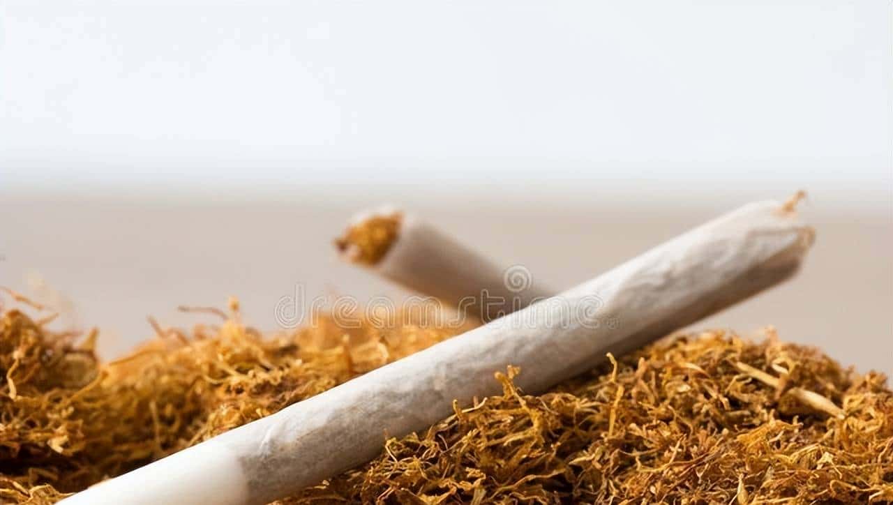 心中有数，找烟不慌——我国主要产烟区全攻略