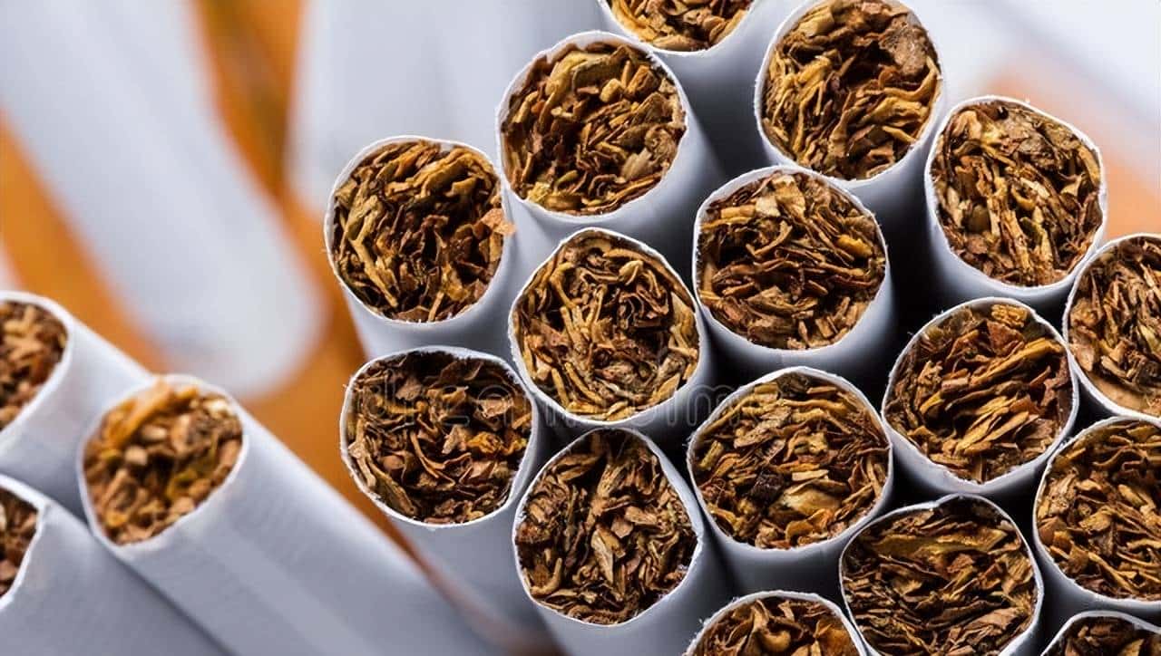 心中有数，找烟不慌——我国主要产烟区全攻略