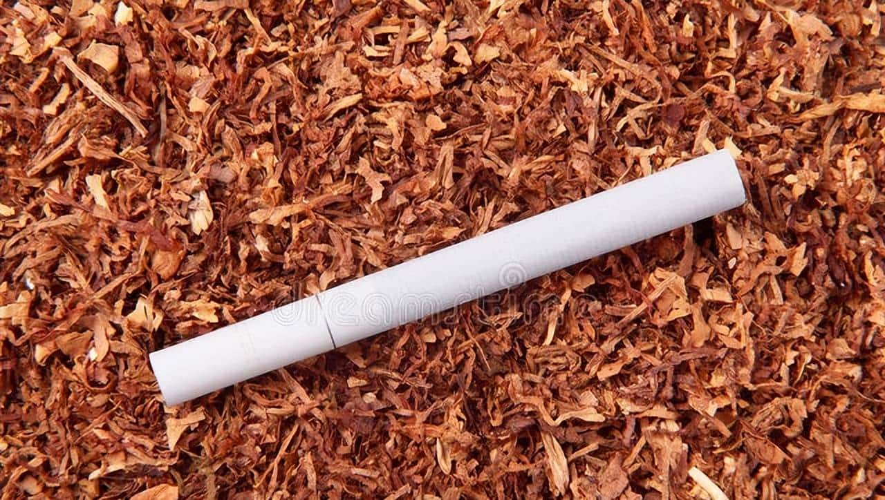 心中有数，找烟不慌——我国主要产烟区全攻略