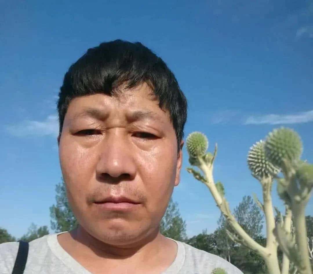 一种禹州道地中药材濒临绝迹，两兄弟历时七年抢救成功