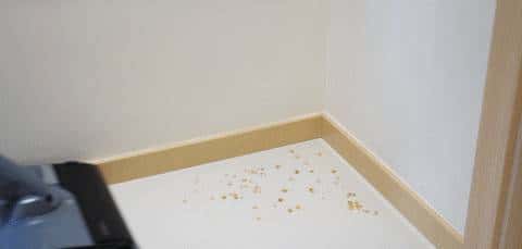 告别污水桶发臭！会自滤的洗地机配享太庙，云鲸S3 Island测评