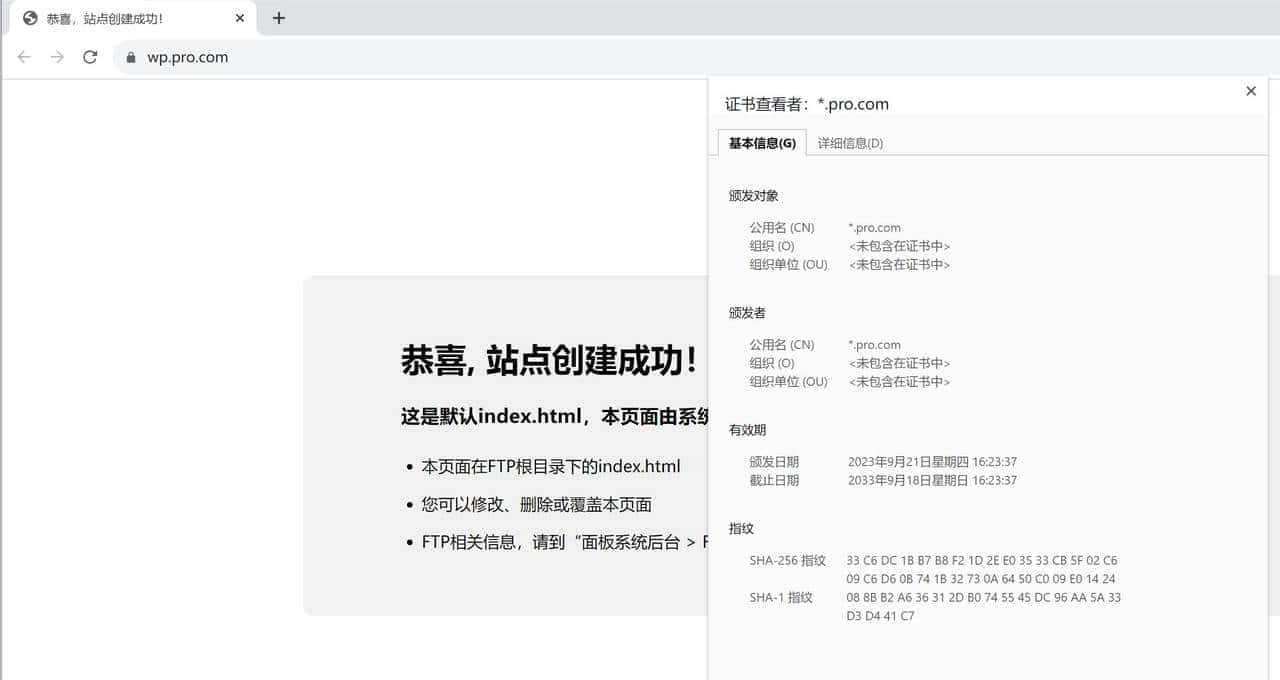 内网使用自签名证书 浏览也可以“安全”
