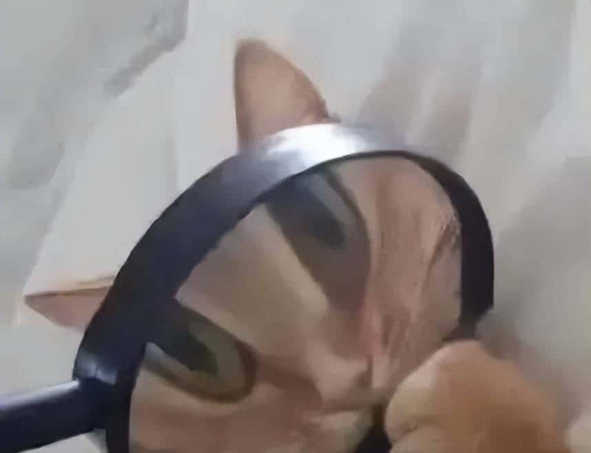 七夕前学起来，程序员的浪漫：三十行代码实现用她的名字作幅画