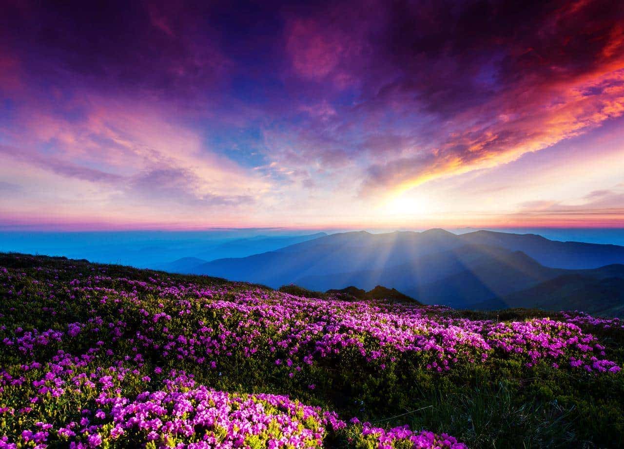 一次性学透|河北省初中中考英语考纲核心词汇详解（D、E、F 部分）