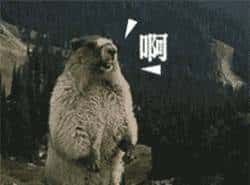 过年回家，地理人也怕这些问题......