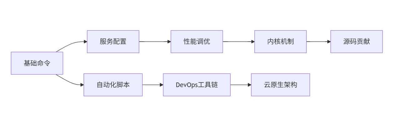 Linux从入门到精通：高效学习方法示例