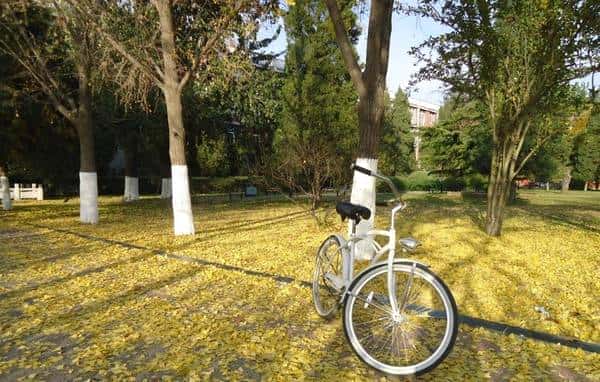 单车ABC零部件简介及中英文对照-1