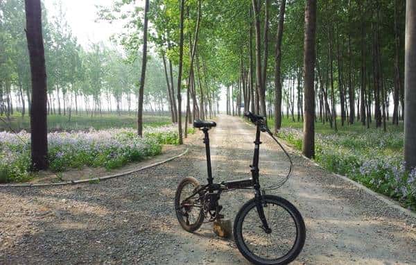 单车ABC零部件简介及中英文对照-1