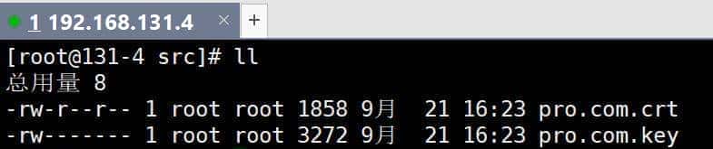 内网使用自签名证书 浏览也可以“安全”