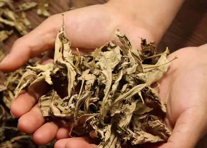 冬季瘙痒症：艾灸+内养+外调