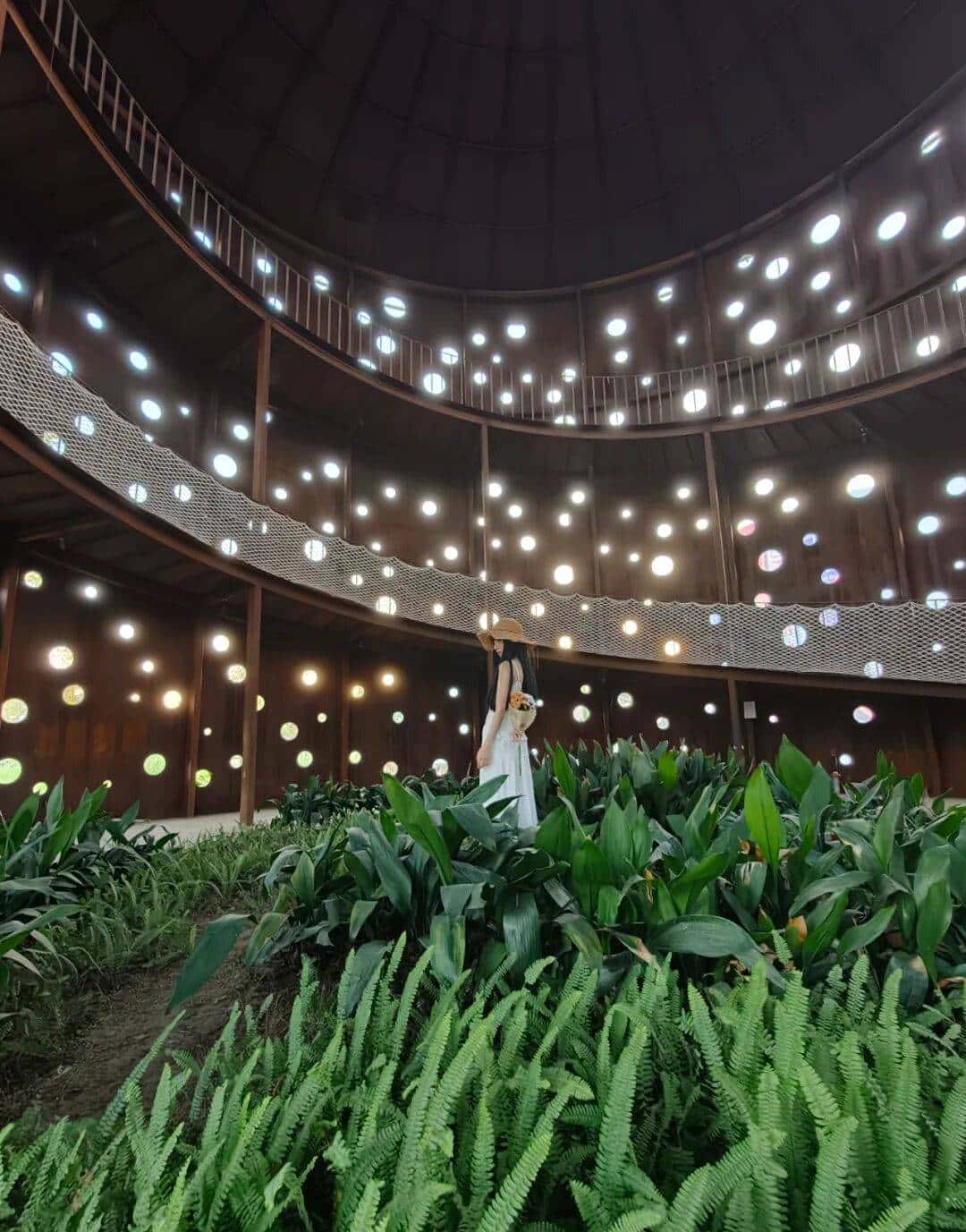 真的能取代相机？OPPO Find X9 系列评测！